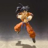 DBZ - Goku - S.H. Figuarts