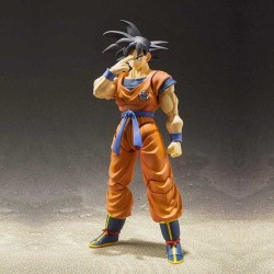 Dragon Ball Z - Goku - SHF