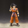 DBZ - Goku - SHF